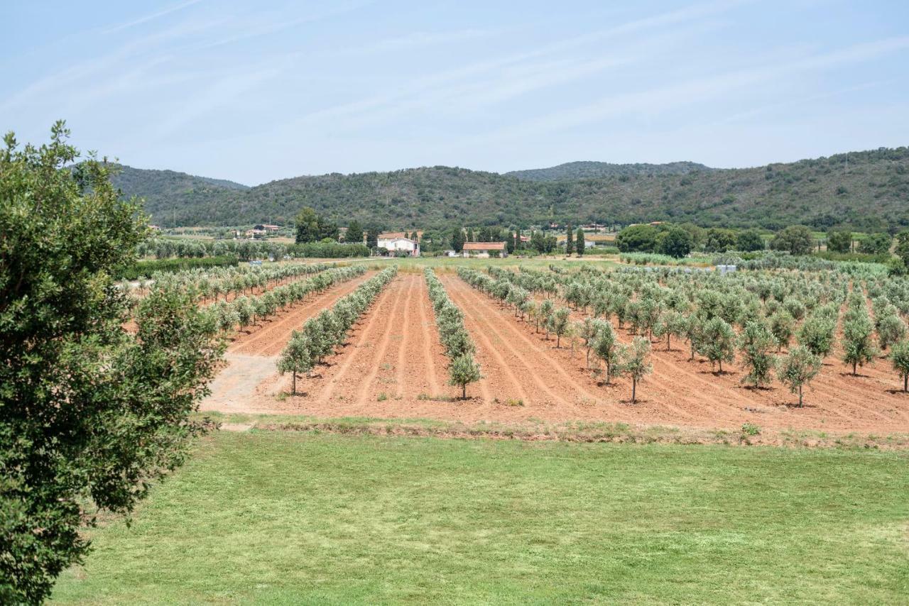 Agriturismo Terre Di Castiglione Castiglione della Pescaia Exterior foto